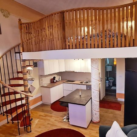 River Residence 티미쇼아라 외부 사진